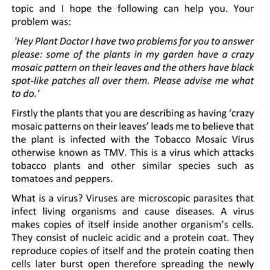 tsa_HomeLearningScience (29)